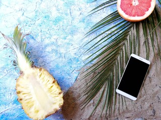 exotic fruits lie on the sand with a palm tree branch