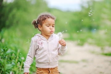 Toddler girl with curly hair  playing with yellow dandelions in a blooming spring  and summer garden