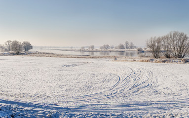 Fototapeta na wymiar Elbwiese im Winter
