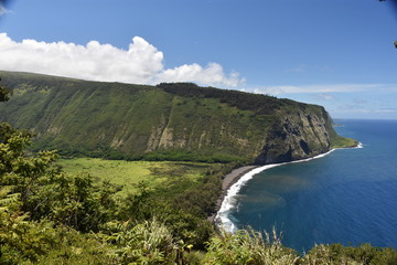 Fototapeta premium Vallée de Waipiʻo 