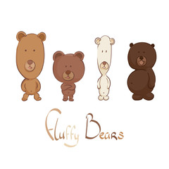 Cute bear illustration