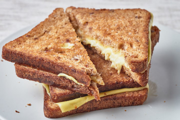 Grilled sandwich with cheese on a plate.