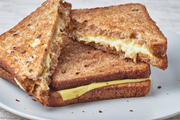 Grilled sandwich with cheese on a plate.