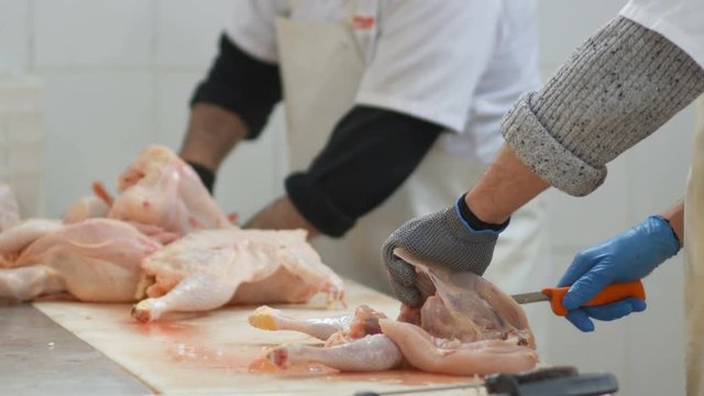 Food processing plant, chicken meat. Close up of man hands cut meat
