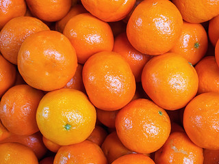 Real heap of oranges background