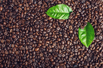 Texture background of coffee beans and green leaves. Concept of the production of fresh aromatic drink.