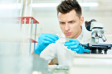 Waist-up portrait of concentrated young researcher wearing rubber gloves and white coat sitting at...