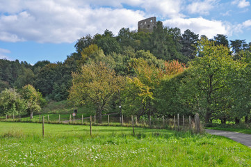 Fototapeta na wymiar Valecov Castle, Drabske Izdebki, Mnichovo Hradiste (Mnichovo Hradiště)