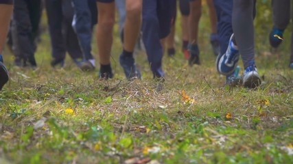 Closeup of legs running through an autumn park at sunset. People running cross country in forest. Jogging motivation in green park inspirational landscape. Run a marathon through woods. Slow Motion.