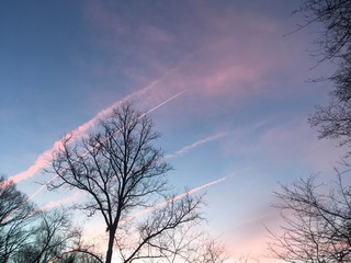 pink contrails and clouds in winter sky at dawn