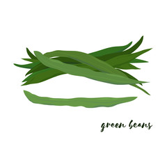 Green beans. Flat design. Vector illustration