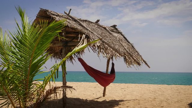 A Red Hammock Under The Palm Canopy Swings In The Wind On A Sandy Beach