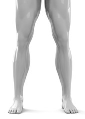 White Muscular Legs - 3D