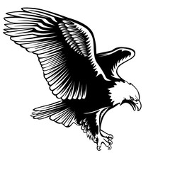 Eagle emblem isolated on white illustration. American symbol of freedom and independence. Retro color logo of falcon.