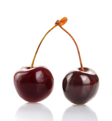 Healthy food concept - merry berry isolated on a white background