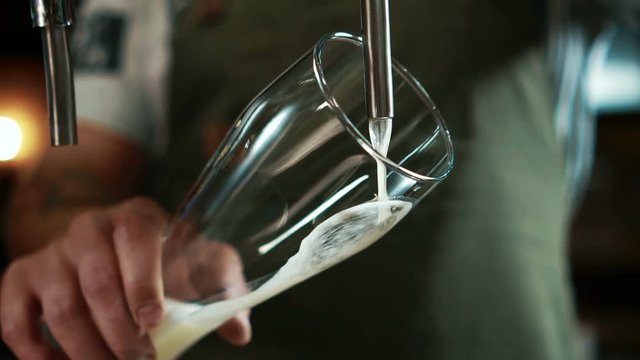 Barmen is pouring beer into the clean high glass in stylish bar, close up. Professinonal in green t-shirt is opeining the tap by his hand and tastefull yellow beverage with white foam is starting to