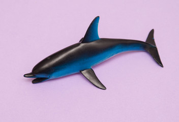 Dolphin toy on colorful background.

