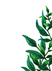 Fototapeta premium Green watercolor leaves. Hand painted floral illustration