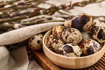 quail eggs with willow branches with textile. Springtime. Happy easter