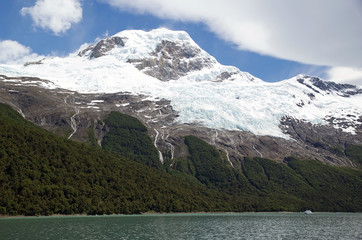 Obraz premium Glacier and forest view from the Argentino Lake, Argentina