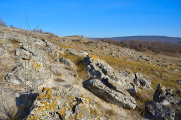 Pobiti Kamani, The Stone Forest Natural Reserve in Bulgaria