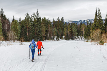 Two hikers walking in winter forest back to camera