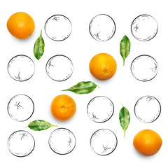 Fruit composition with fresh orange and cartoon cute doodle drawing oranges on white background. Creative minimalistic food concept.