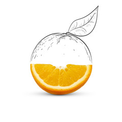 Fruit composition with fresh orange and cartoon cute doodle drawing half orange with leaf on white...