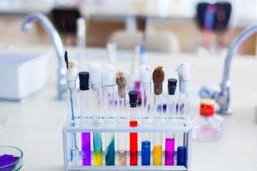 Test tube arranged in bluish background, with copy space area