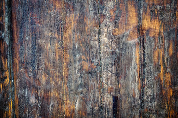 Old wooden door texture