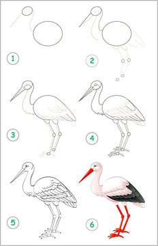 Page shows how to learn step by step to draw a stork. Developing children skills for drawing and coloring. Vector image.