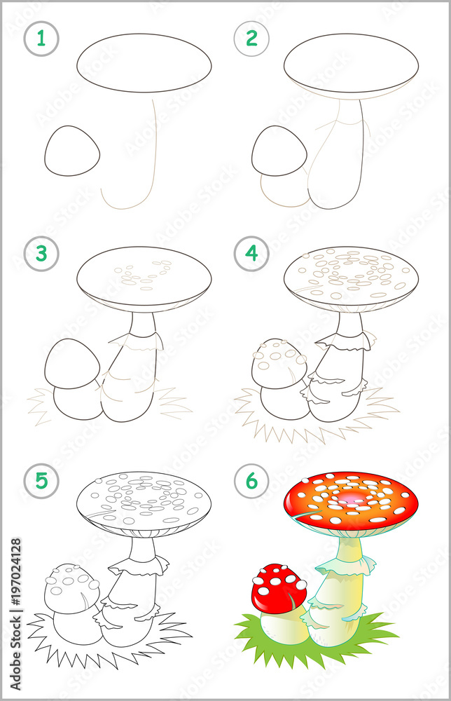Wall mural page shows how to learn step by step to draw a fly amanita. developing children skills for drawing a