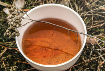 Herbal tea in a white cup with a reflection of the sky. Travels. Dry grass. Forest