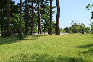 한국의 전통 고궁과 풍경
