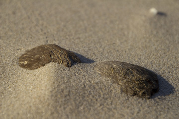 Spuren im Sand