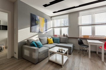 Modern gray sofa and table