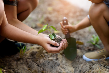 Young children taking care and planting a seedling.