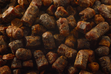 Bee Bread macro background texture. Natural remedy for immunity enhancement. Beekeeping products. Apitherapy.
