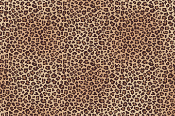 Leopard fur horizontal texture. Vector - obrazy, fototapety, plakaty