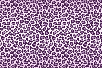 Purple leopard fur texture. Vector © Glitter_Klo