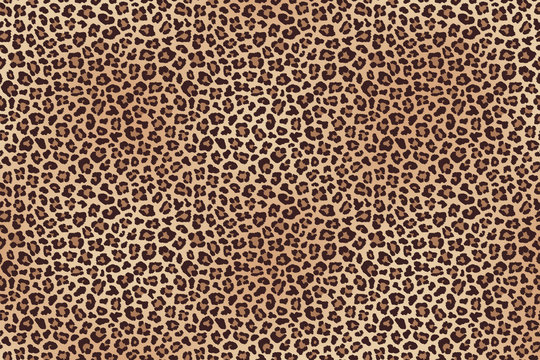 Leopard fur horizontal texture. Vector