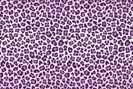 Purple leopard fur texture. Vector