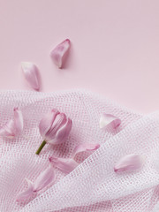 Pink tulip head and flower petals on white net fabric isolated on light pink background. Copy space. Flat lay. Top view