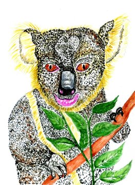 Cute Koala Art