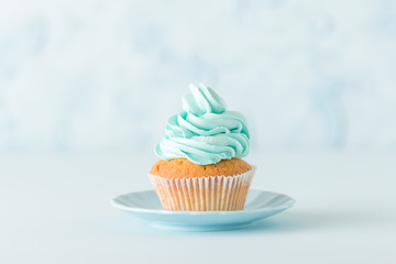 Cupcake with blue cream decoration on plate - blue pastel horizontal banner.