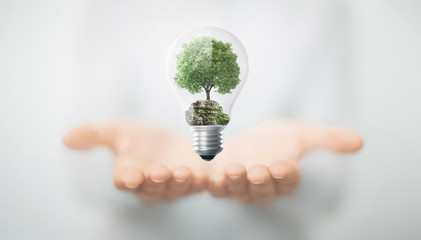 Albero in mano dentro lampadina, energia sostenibile e rinnovabile - obrazy, fototapety, plakaty