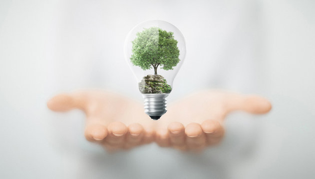 Albero in mano dentro lampadina, energia sostenibile e rinnovabile