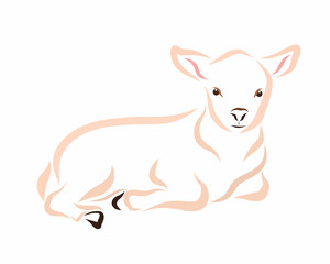 Young light lamb, drawing with smooth lines