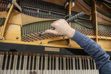 closeup of hand and tools of tuner working on grand piano