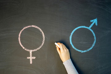 The female gender symbol is equal to the male concept of gender equality